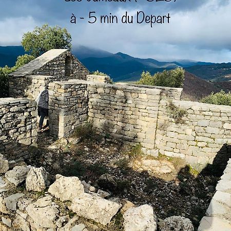 Le Nid Cevenol, Appartement De Village Sumène المظهر الخارجي الصورة